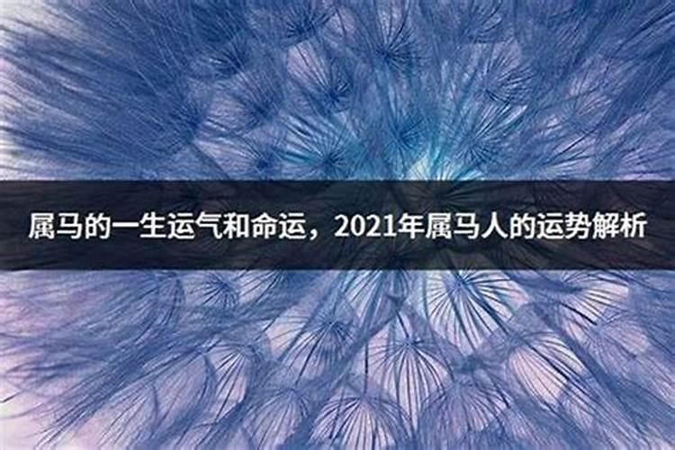 2023年马年的运势