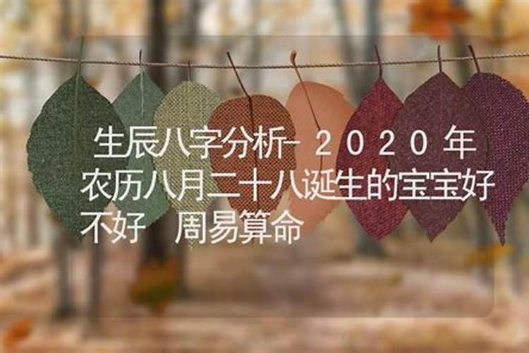 2021年11月生辰八字