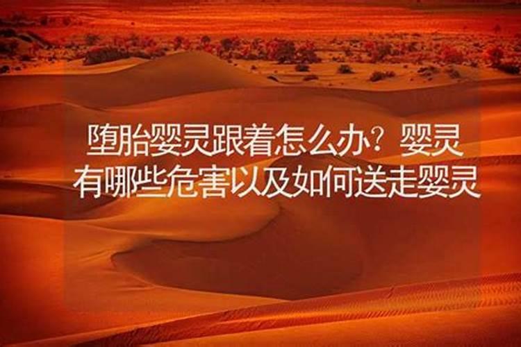 白山起名风水师是谁