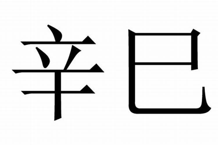 八字中辛巳是什么意思