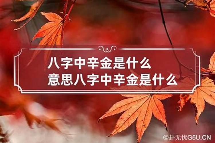 八字辛是阴还是阳