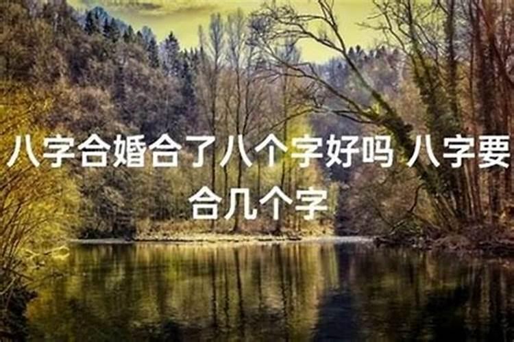 八字的中婚是什么意思