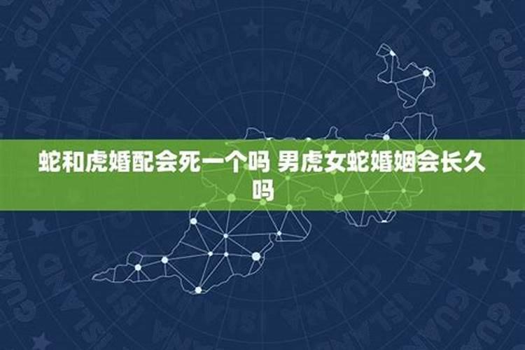 属兔人2023年犯太岁怎么避免