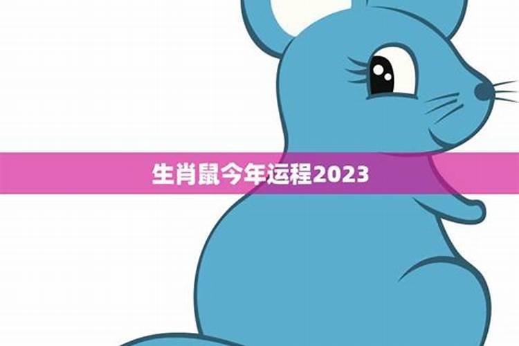 今年属鼠运势2023年