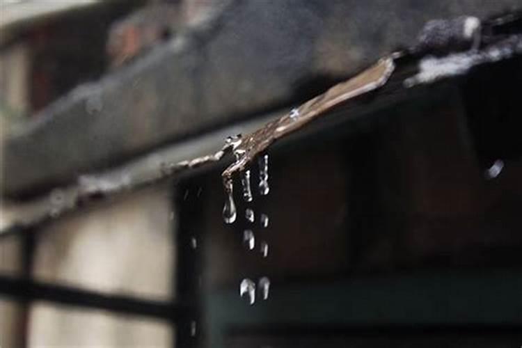 梦见天下大雨屋漏