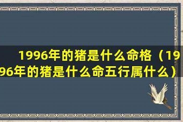 1996年猪五行属什么命