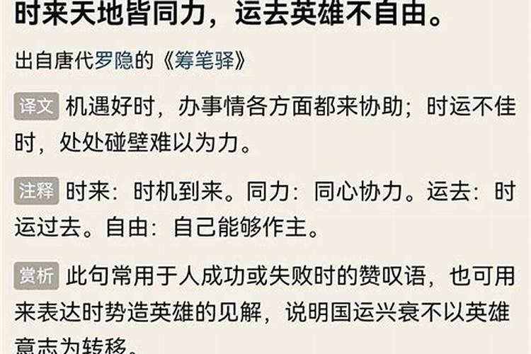 运气在成功中扮演什么角色