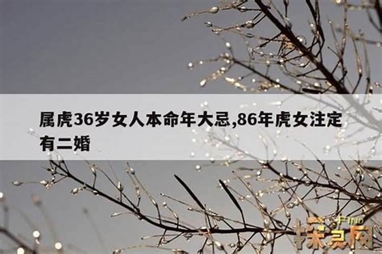 36岁女人本命年运气如何呢视频