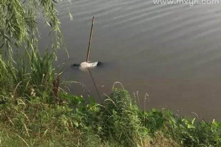 梦见死尸是什么意思