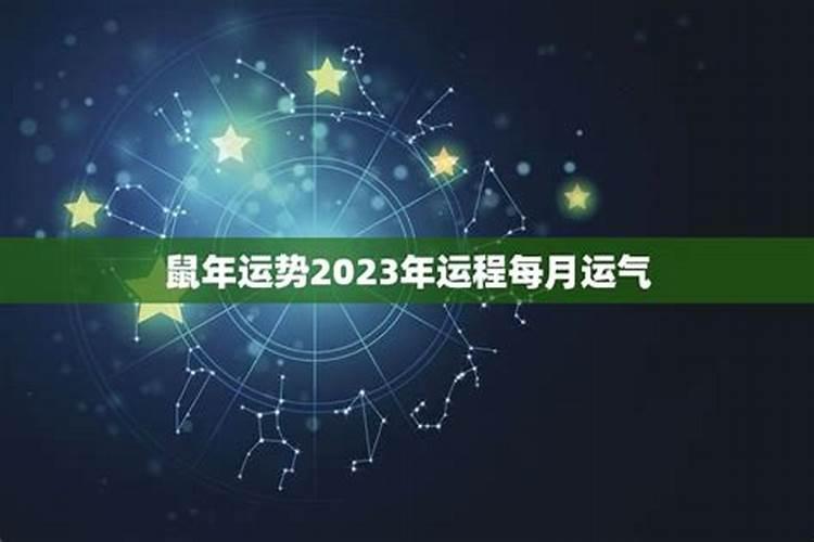 2023年的鼠运势运程