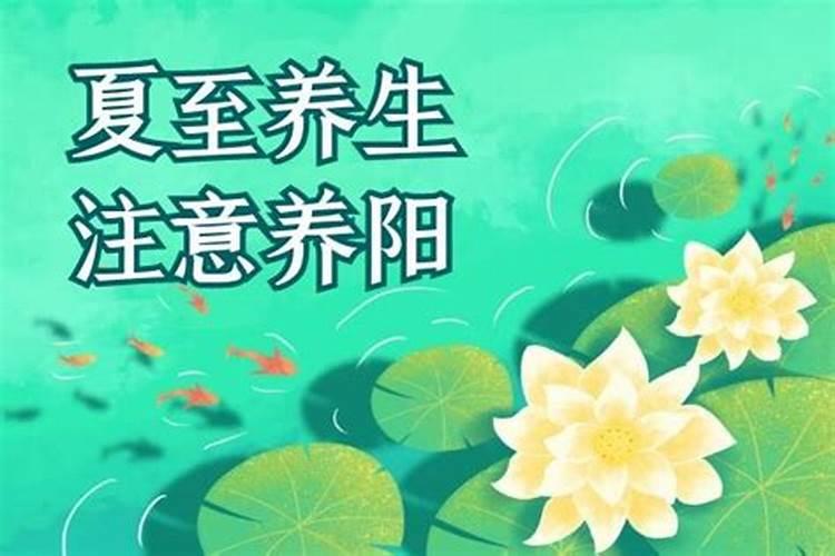 夏至需要注意的