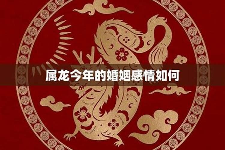 属龙男今年运势怎么样