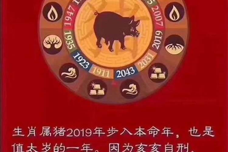 2019年犯太岁怎么化解