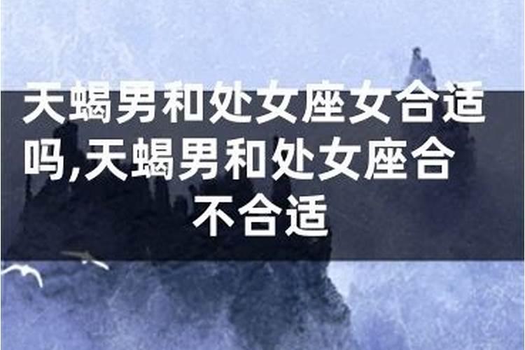 天蝎和射手合不合得来