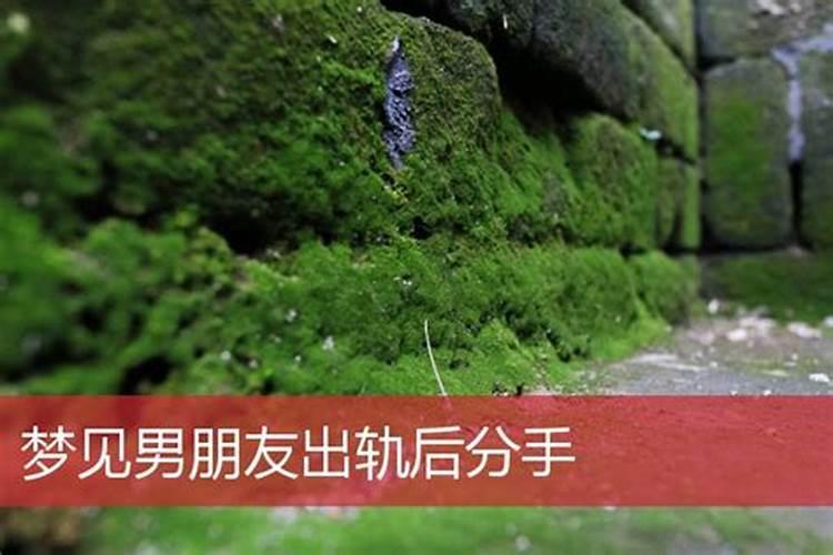 梦见男朋友出轨后分手