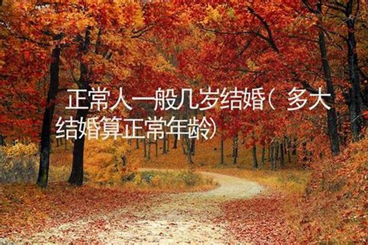 属虎人犯太岁的年份