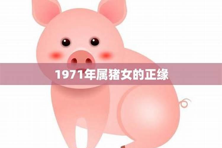 1999年今年运势如何2022