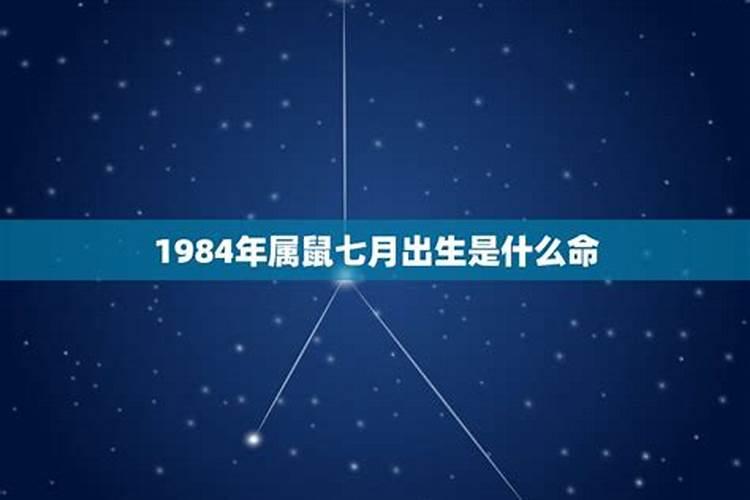 1984猪年的运气