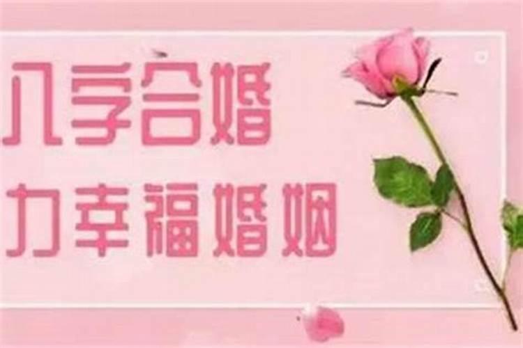 八字如何看合婚还是破财