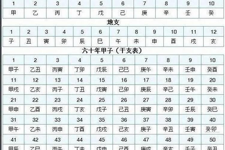 八字月干支代表什么