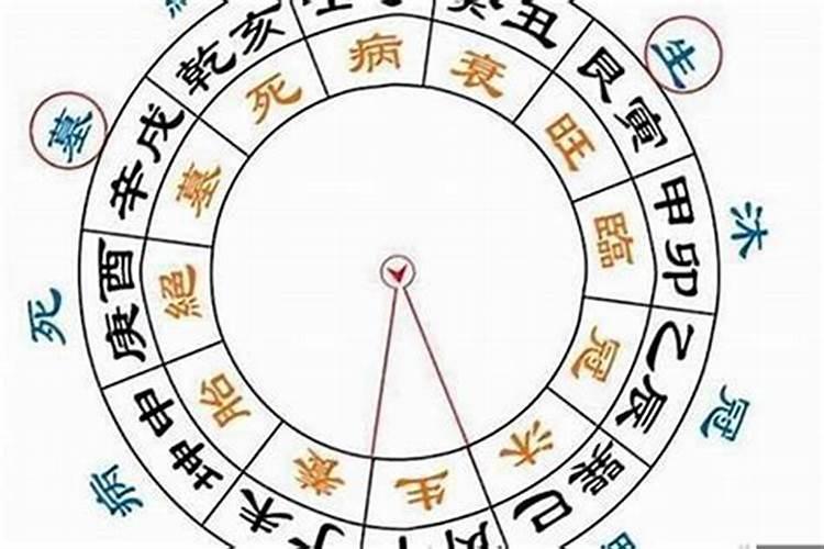 八字养在月柱是啥意思