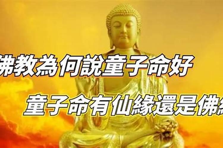 和员工属相相冲怎么办呢