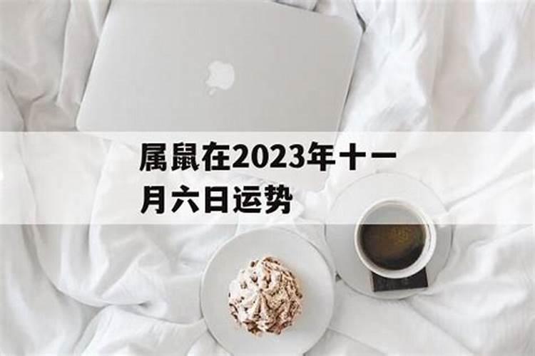 属鼠11月份运势2021年