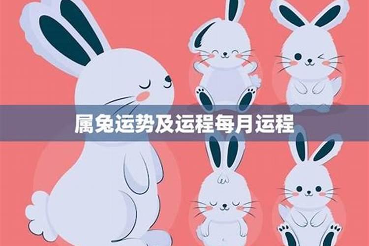 年柱正财女命的特点