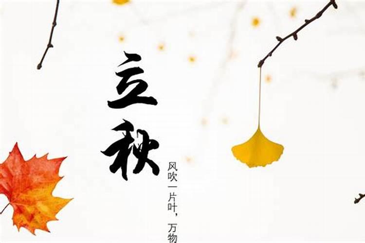 今年立秋是几月几日几点几分热不热