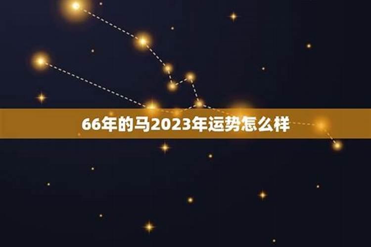 66年的马2022年的运势