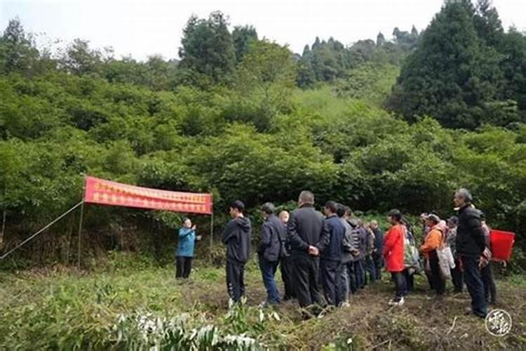 梦见家人们在一起做饭好不好