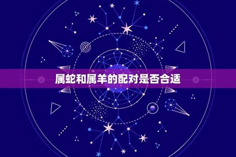 属蛇跟属羊的合不合适