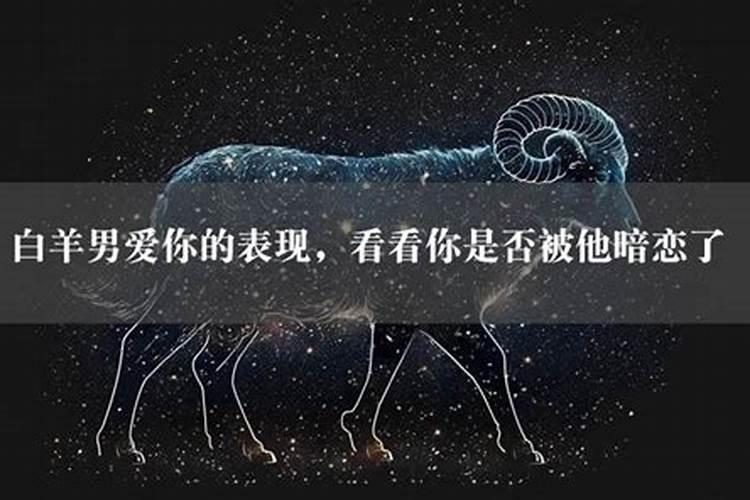 注定暗恋白羊的星座