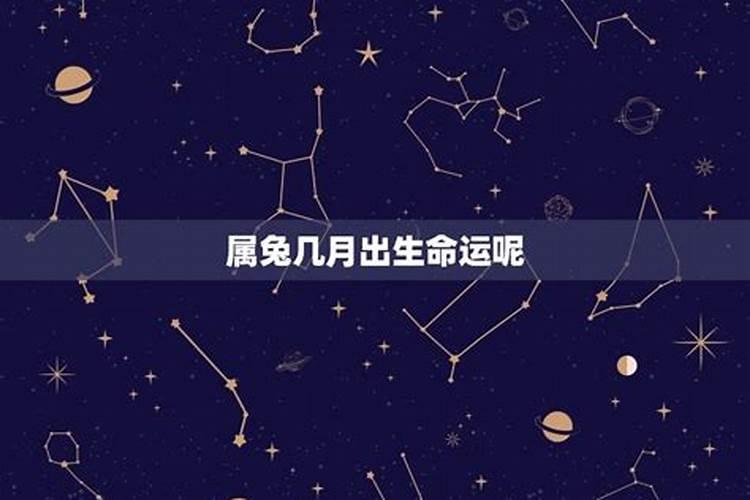 属兔的11月出生的运势如何样