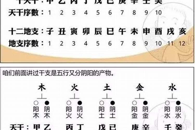 八字排盘宝怎么看用神还是忌神