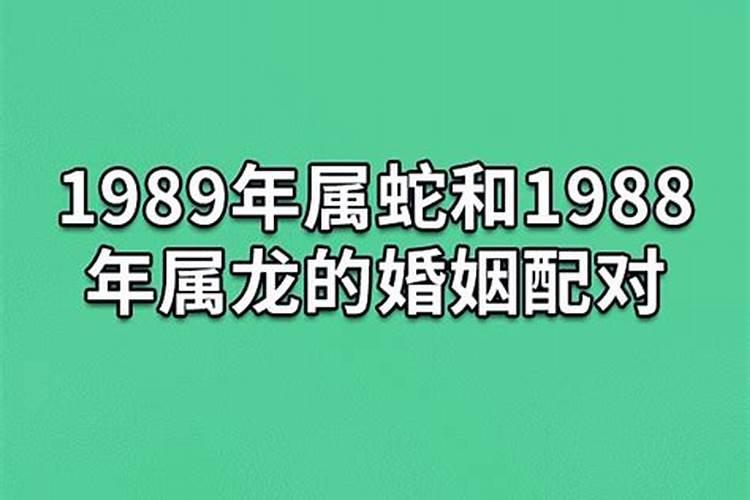 1988属蛇的人的命运如何