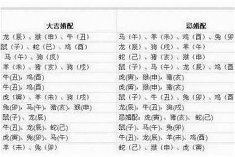 1981年属鸡11月运势