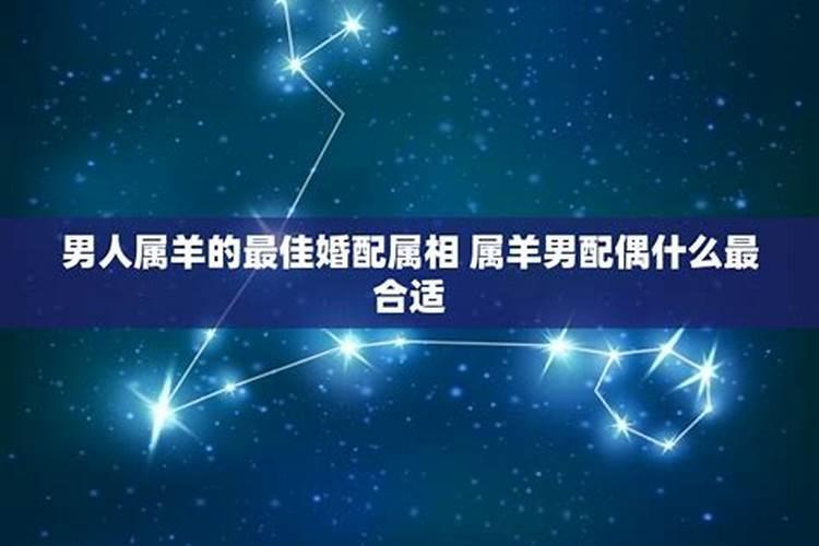 属羊男的配偶最佳属相