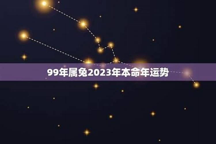 99年兔的本命年