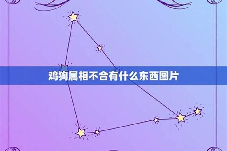 鸡狗八字不合怎么化解