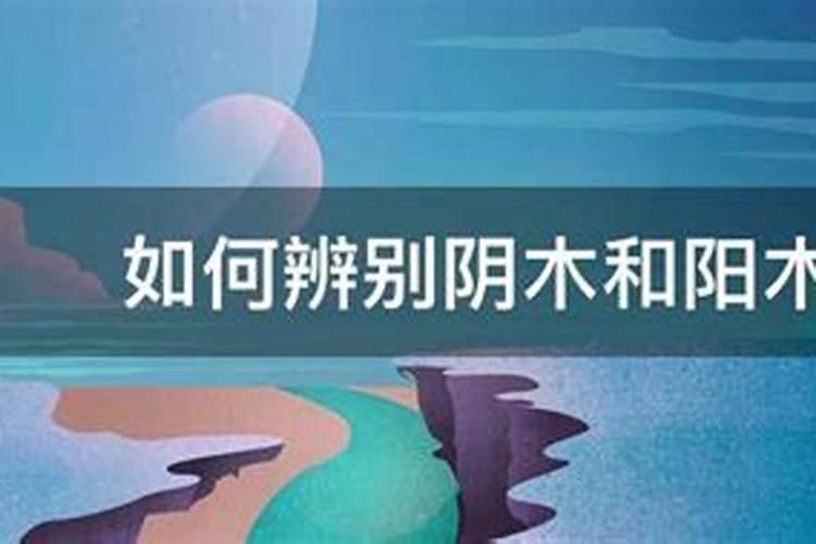 梦见儿子头被蛇咬了一个洞口出血什么意思呀