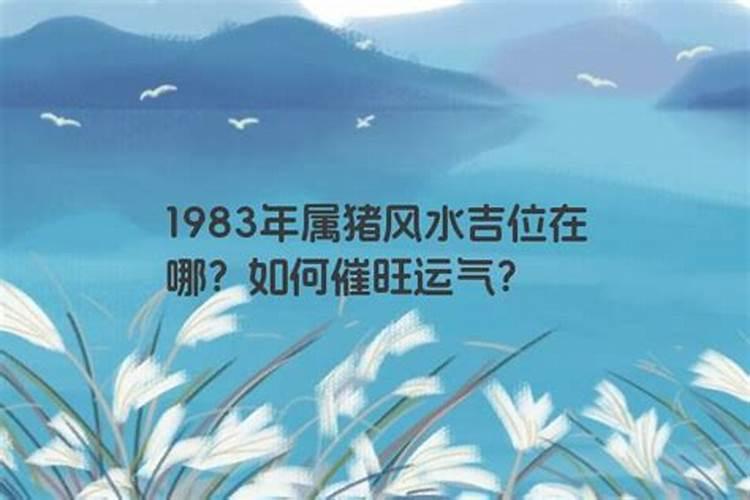 1983年今年运气如何