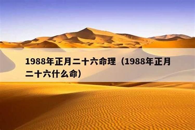 属虎的人2023年运程及运势如何