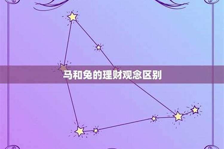 属马和兔的属相合不合