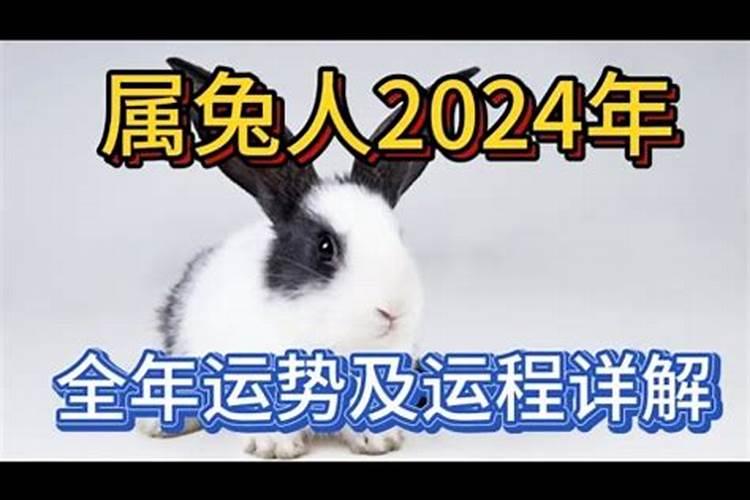 2023年属牛人的每月运势1985出生