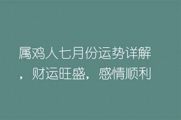 属猪的家里摆放什么旺财