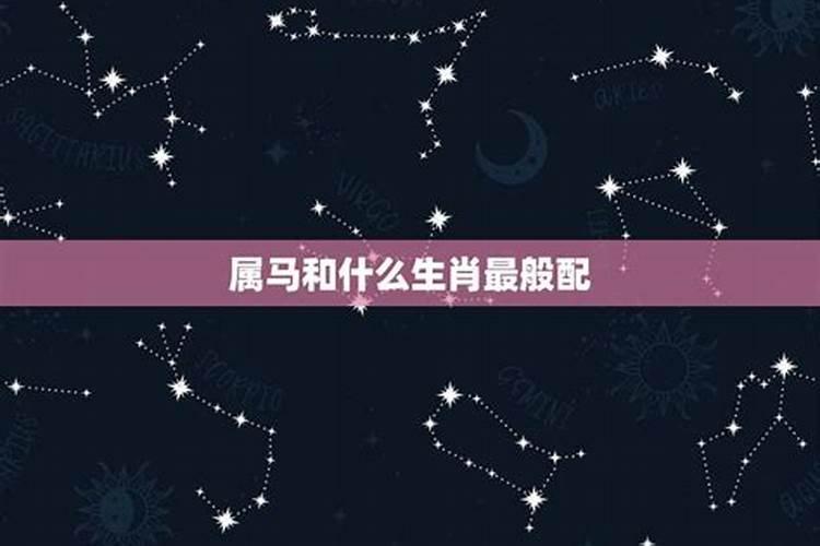 属马的跟什么星座最配