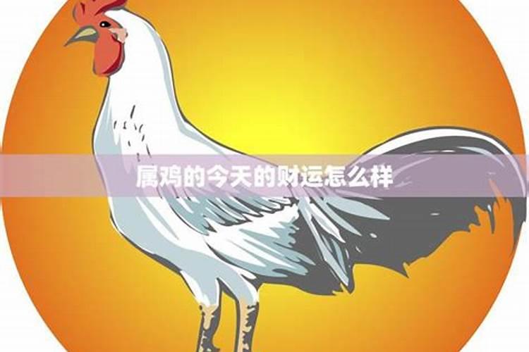 鸡和什么生肖合得来