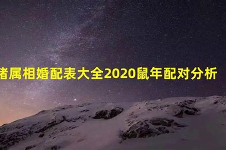 2020属相婚配十二生肖年龄表