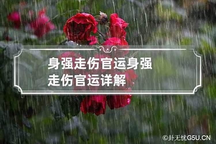 身强走官运会怎么样